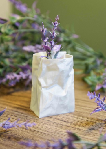 Mini 3d Printed Paper Bag